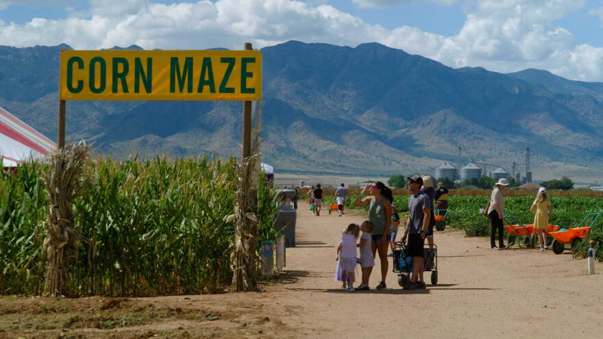 AZ ILL Apple Annies corn maze segment thumb