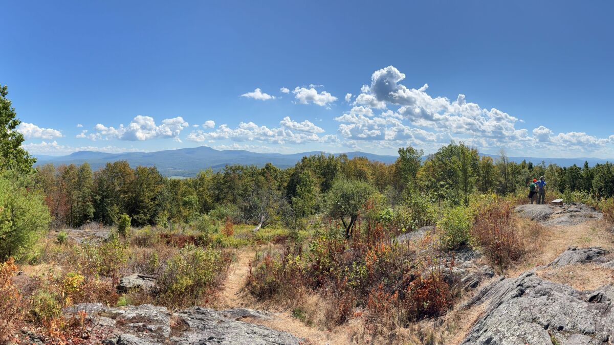 5 new Vermont conservation projects protect access to old trees, summits and rare plants