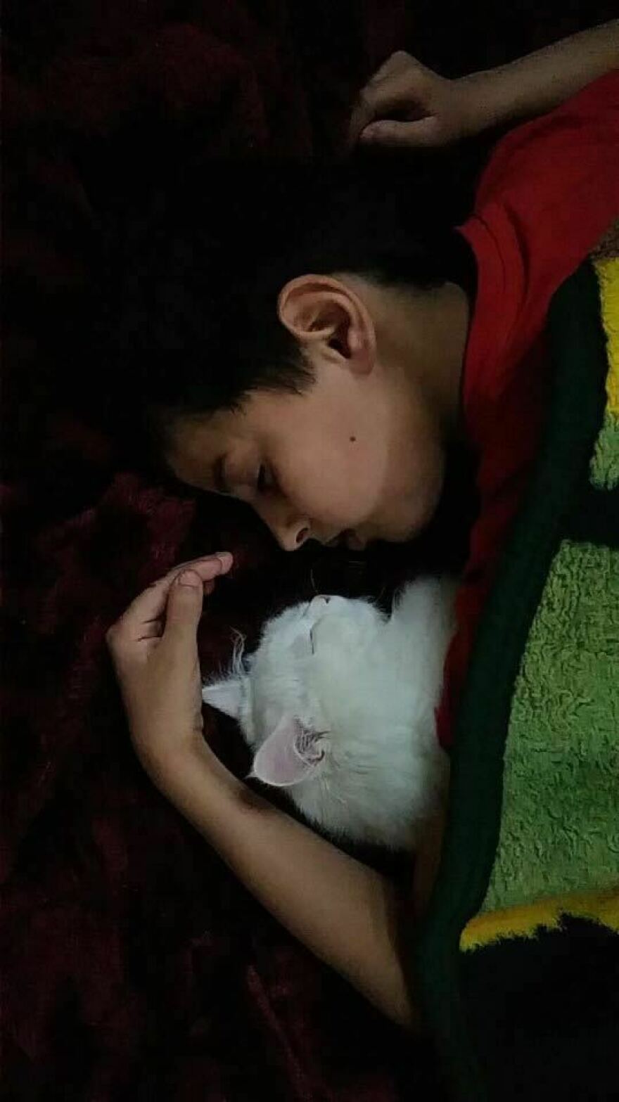 Amru with his family cat Absi.