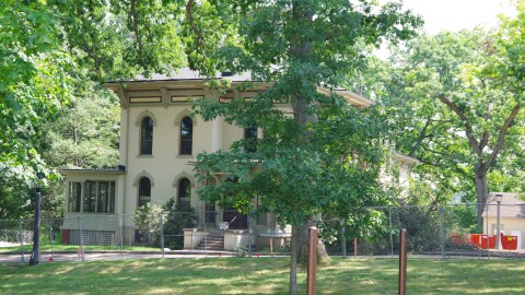 An off-white two-story building is obscured by trees which populate much of the image. Most of the trees stand taller than the image can capture, with branches dangling into the the frame. A road in front of the building is surrounded by metal fences, blocking off access to the property.