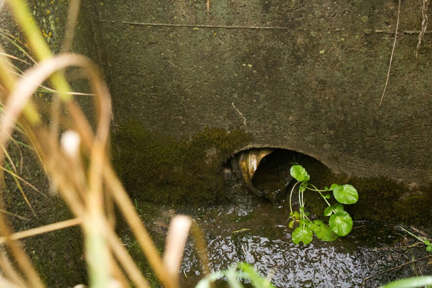 WOW_3_drain.jpg