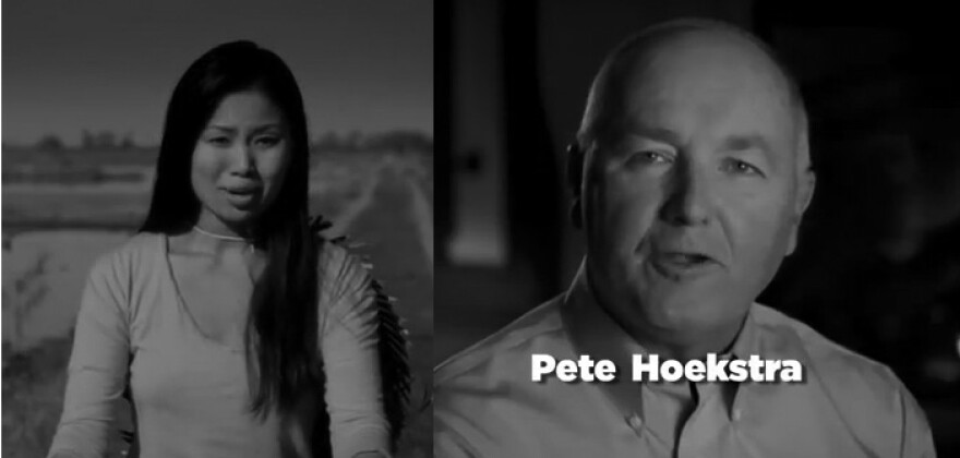 The reaction to Hoekstra's Super Bowl ad was strong.