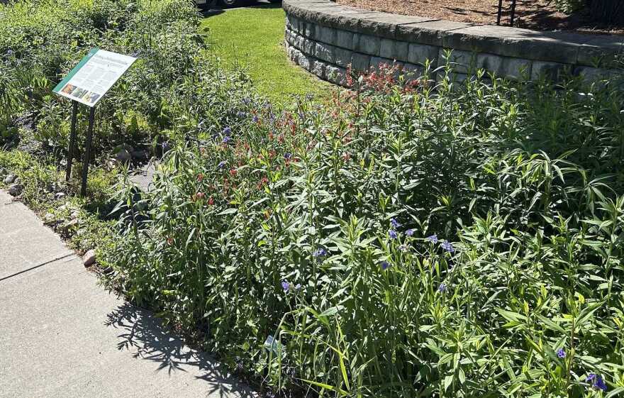 Outdoor garden with a variety of plants and flowers, with a short block-wall fence behind it