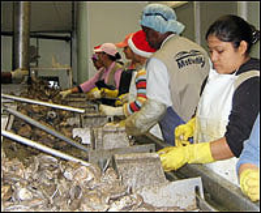 Work has resumed at Motivatit Seafoods in Houma, La., as Terrebone Parish recovers from the wrath of Hurricanes Katrina and Rita.