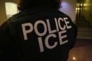 A U.S. Immigration and Customs Enforcement agent.