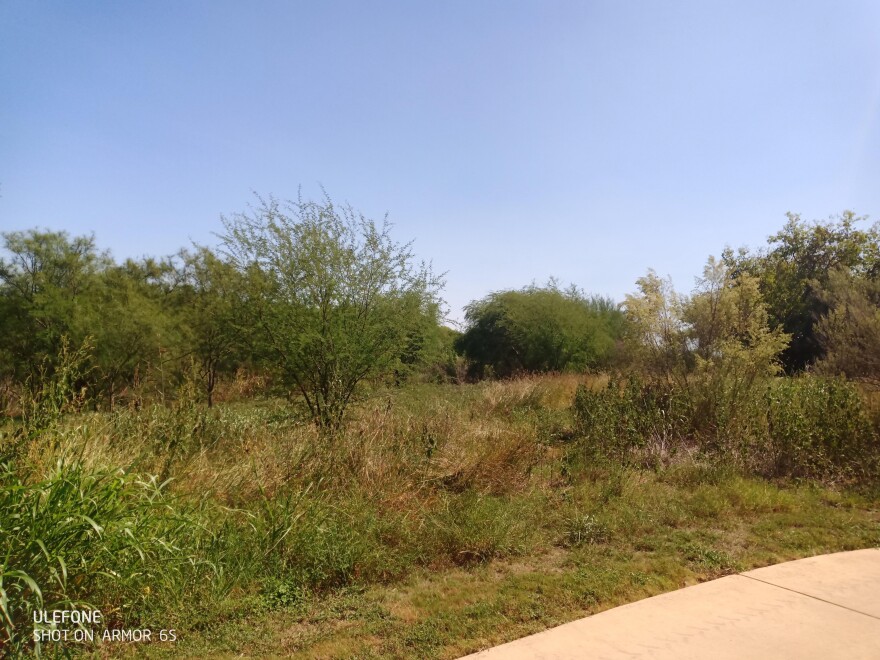 Sections of the Mission Reach where the San Antonio River Authority will be removing vegetation in October 2020, as part of the adaptive management approach in maintaining proper flood conveyance throughout the eight-mile stretch of ecosystem restoration project.