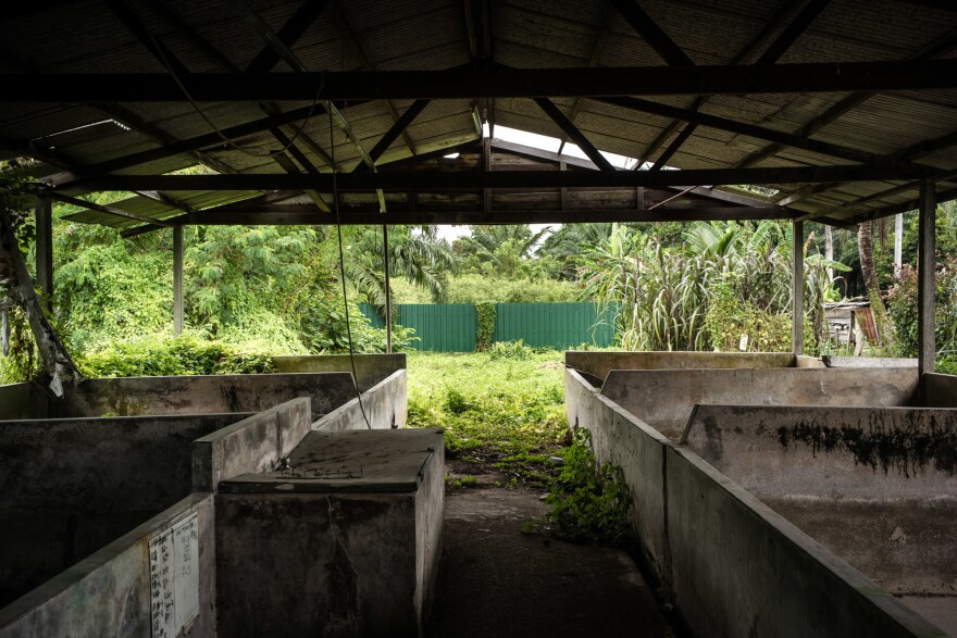 An abandoned pig farm near the center of the Nipah outbreak in the state of Negeri Sembilan. This region was at the center of Malaysia's booming pork industry in the early 1990s and was home to nearly 1 million pigs. All the farms have since been shut down.