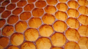 Honeycomb