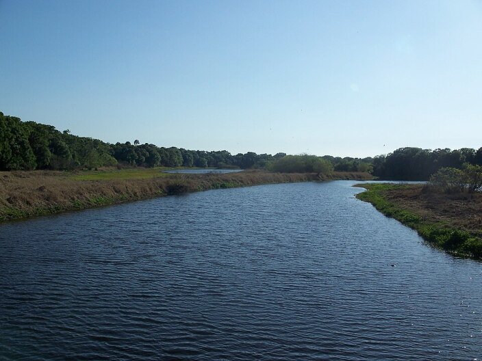 As much as 86% of wetlands in Florida could lose federal protections under proposed federal changes.