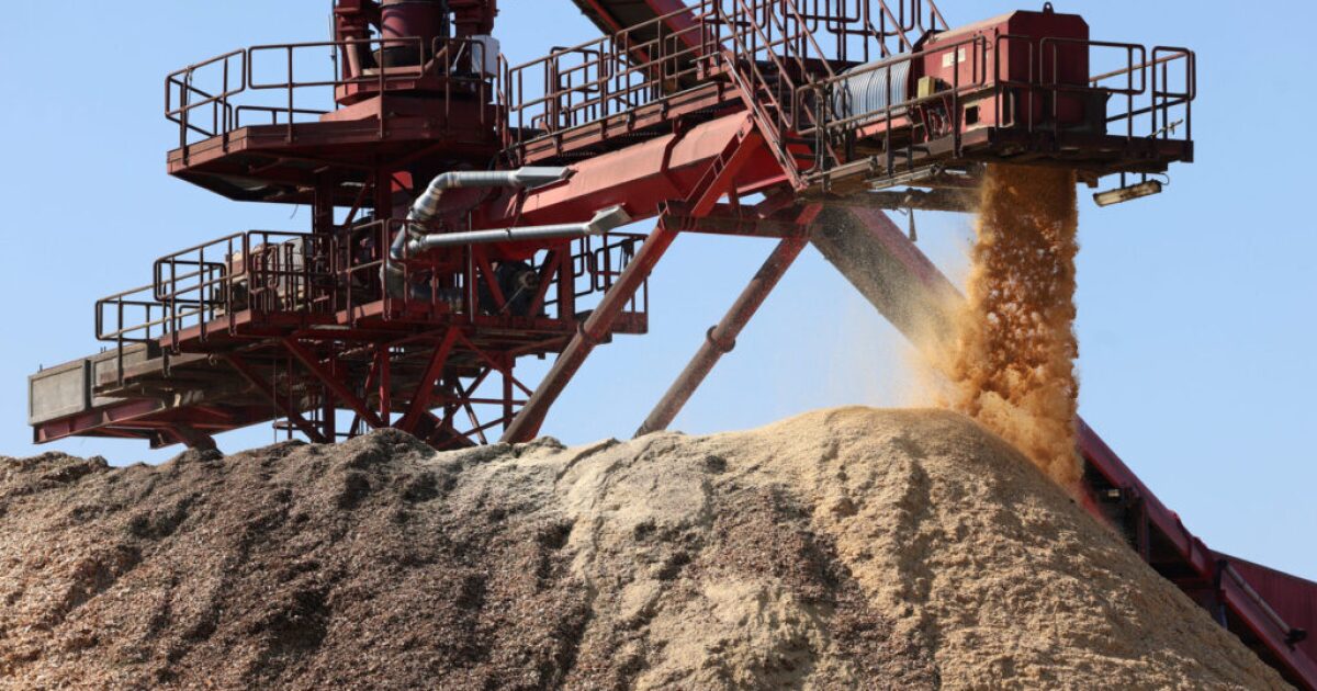 Wood pellet manufacturing leads to rural air pollution; filling gaps in Gulf Coast water quality monitoring with AI; MSY travelers share their stories