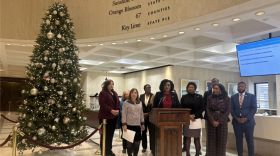 Los líderes demócratas de la legislatura de Florida hablan sobre la sesión legislativa de 2026, que comienza el 13 de enero, en una conferencia de prensa celebrada en diciembre de 2025 en el Capitolio.