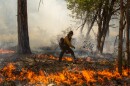 A member of the Black Mesa Hotshots helps with a mid-June burnout on the Hull Fire in Northern Arizona.