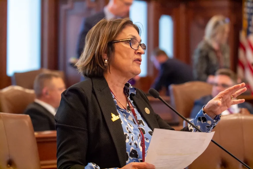 State Sen. Sally Turner, R-Beason, is pictured on the Senate floor Wednesday. She passed a measure requiring certain allergen training for food handlers.