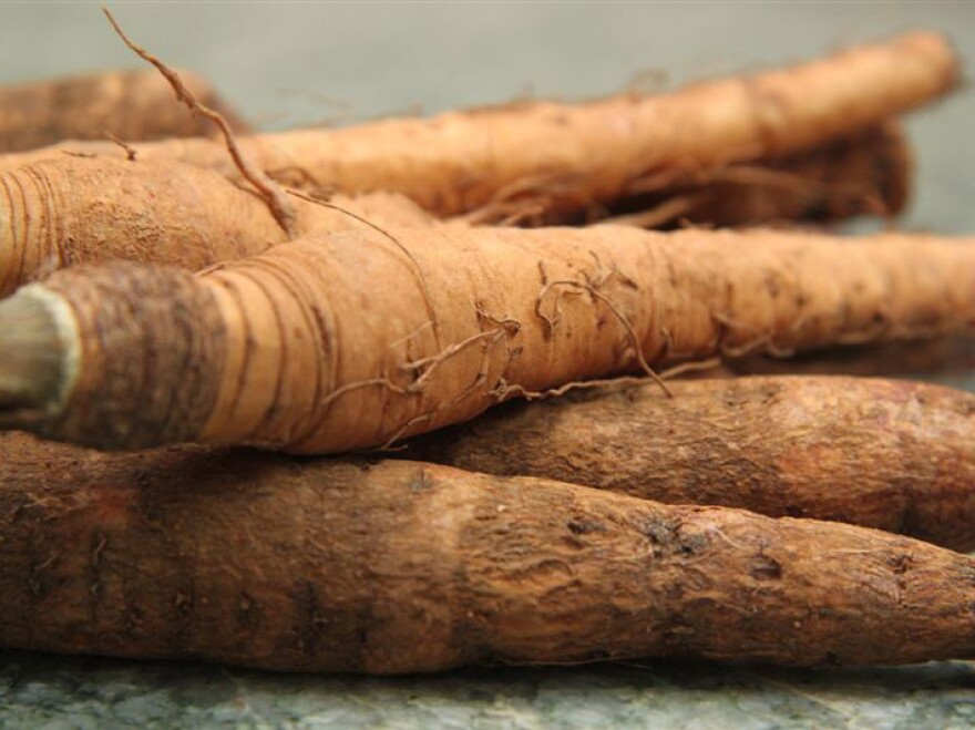 Salsify