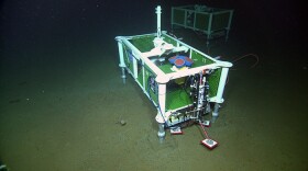 An Acousitic Doppler Current Profiler (four blue-red cyllinders with yellow housing) is installed at the base of Axial Seamount. 