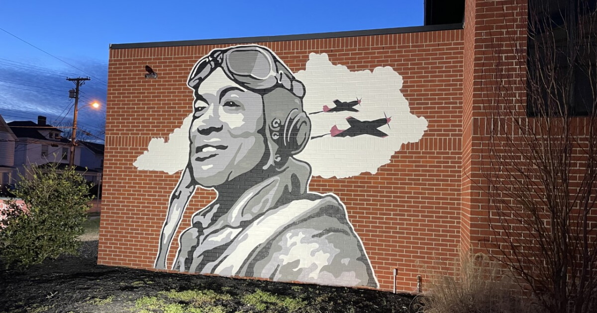 A bill before the General Assembly looks to honor Tuskegee Airmen | WEKU