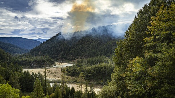 A plume of dark smoke rises above a ridge of dense green, hilly forest. A road cuts thorugh the hills. It is cloudy but the white and gray smoke is still unmistakable against the sky. 