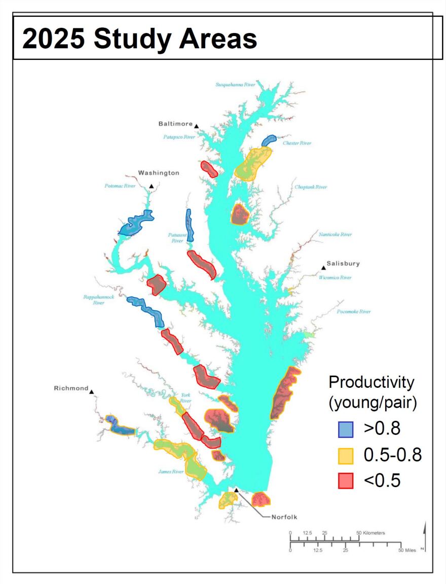 A map shows the 23 sites studied during this year's nesting season.