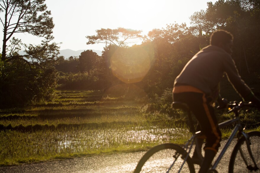 Rice production in Madagascar depends heavily on predictable rains during the planting season. Most of the rice in the country is grown in small plots by subsistence farmers who depend on the crop for their primary source of income and food.