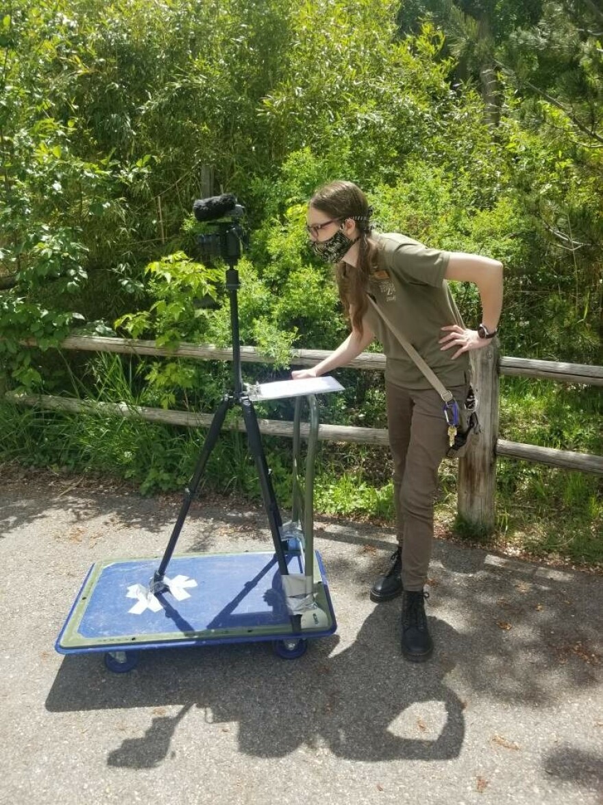 Photo of zoo employee behind a camera rig.