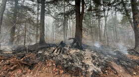 Wildfire damage in Upper Michigan