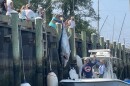 This 564-pound bluefin tuna wasn't even the biggest catch all day. 13-year-old Lola Crisp, "a seasoned tunaman," caught a 591-pounder to win the Cape's first commercial tuna tournament in three decades.