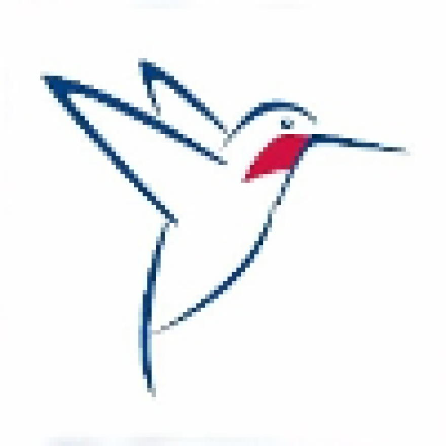 birbb.jpg