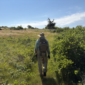 Alpha-gal syndrome has become increasingly common on Martha's Vineyard and Nantucket in recent years.