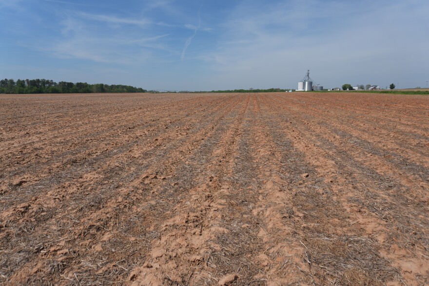 Row crop field on Hunt Farms in Herndon, Kentucky