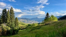 Sunlit mountain valley with rolling green hills, tall pine and aspen trees, and distant mountains under a bright blue sky. Towering white clouds and rain showers are visible on the horizon, while late-day sunlight illuminates the grassy hillside in the foreground.