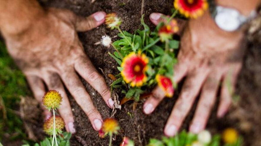 Gardening