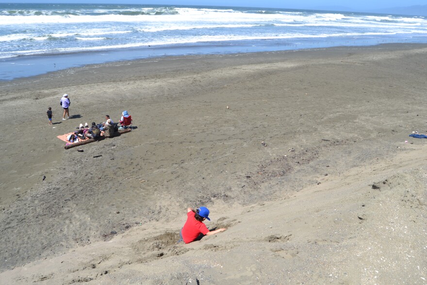 A child plays on an engineered dune at Ocean Beach