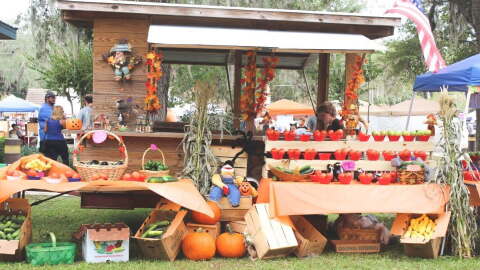 Photo of a fall festival in Orange Park, Florida.