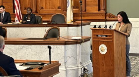 Legislature chairwoman Nicole Watts addresses lawmakers prior to the vote on term limits legislation.