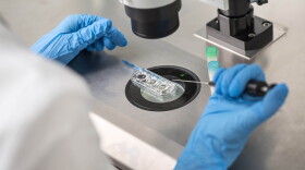 Virginia politicians in Congress and the General Assembly are discussing what Alabama’s decision about IVF means for the state. (Photo courtesy of Shutterstock.)