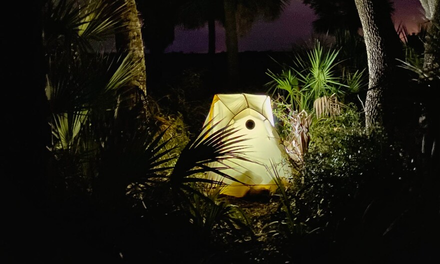 A photo of Maria Llorens' campsite in the St. Marks section of the Florida Trail, taken December 2022.