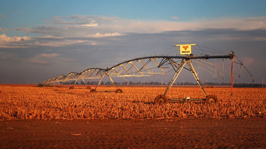 The long arms of pivot irrigation rigs deliver water from the Ogallala Aquifer to circular fields of corn in northwestern Kansas.