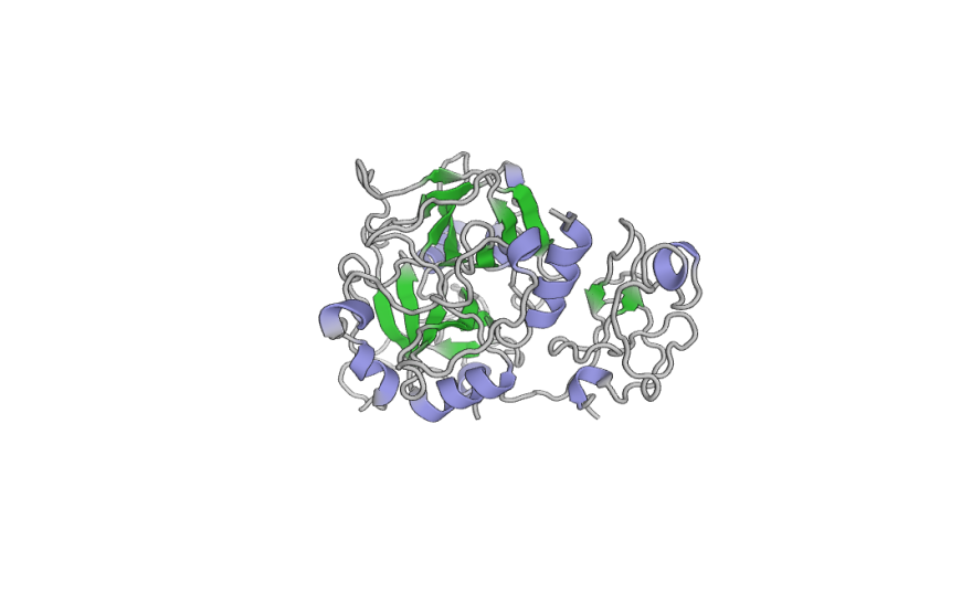 A computer illustration of prothrombin's structure, created by Di Cera's lab. 