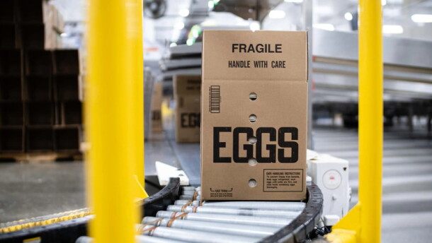 A box of eggs moves down a conveyor belt.