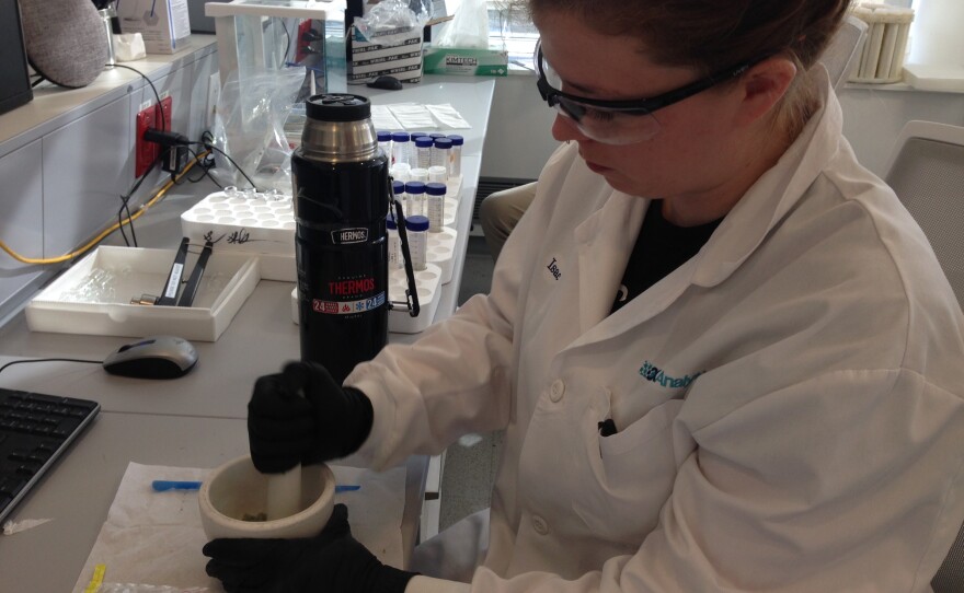 Kate Steblenko, a laboratory assistant at CDX Analytics in Salem, Massachusetts, prepares a cannabis sample for testing.