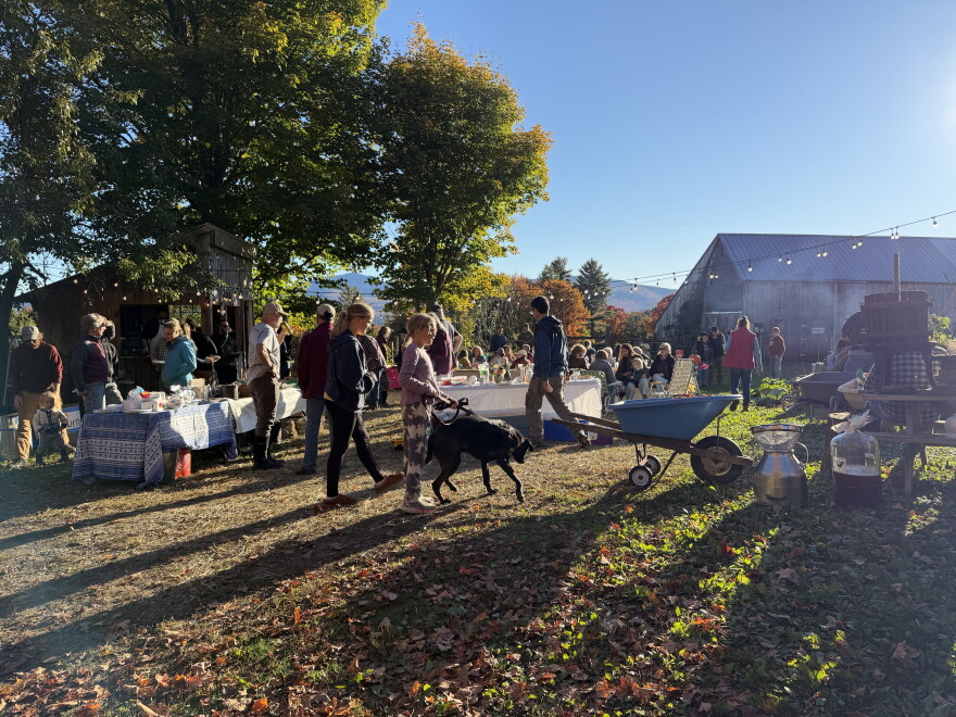 An outdoor party with fall foliate colors, people and dogs and strung lights