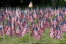 Some of the 660 American flags on display are seen on the church lawn of St. Peter's Reformed Church, Friday, Aug. 30, 2019, in Zelienople, Pa. Each flag illustrate the number of veterans that commit suicide a year. 