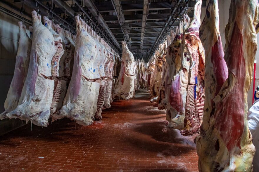 USDA-Slaughterhouse-002-771x514.jpg