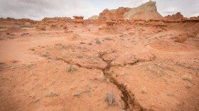 A photo of dry, cracked ground.