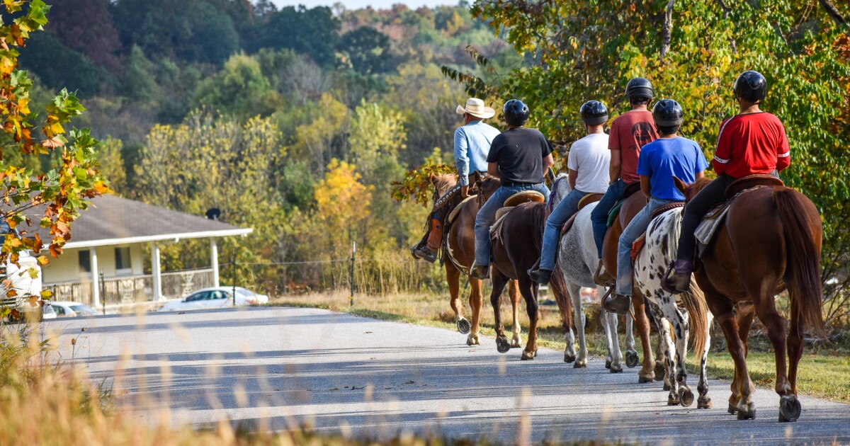 Horses are needed to provide therapy for foster kids in southwest Missouri