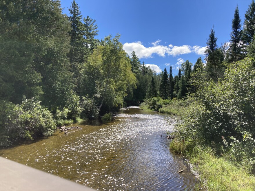 TFM lampricide flows down the Pigeon River as part the US Fish and Wildlife Service's sea lamprey control on Sept. 5 outside of Wolverine.