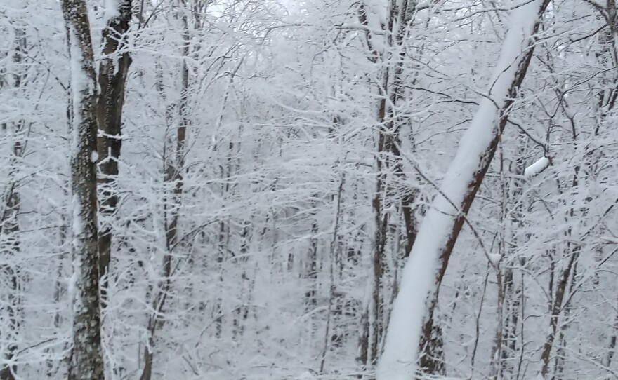 Images of a trip up to transmitter in wintertime.