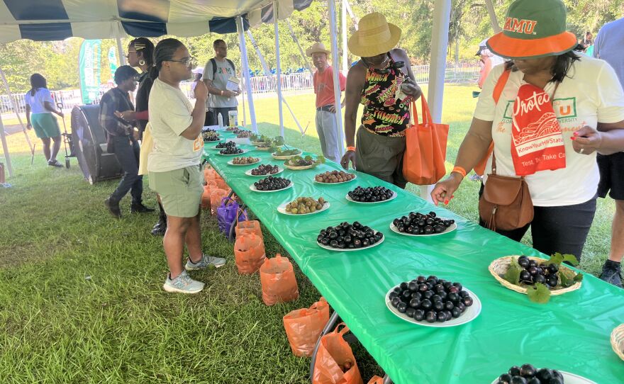 Grape variety sampling