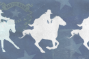 Nevada state shape and flag overlayed on textured background.