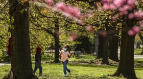 A child wears a protective mask while playing in April in Prospect Park in the Brooklyn borough of New York City.